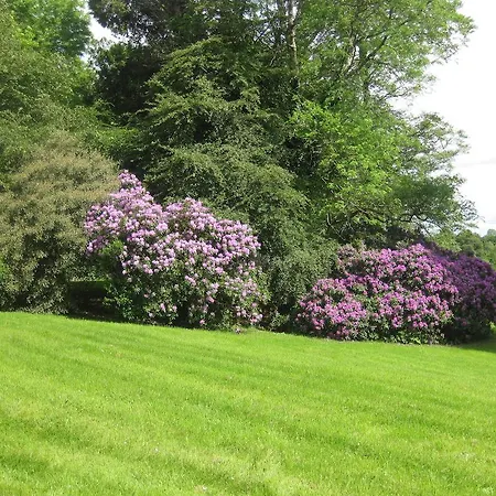 Glebe House Pensjonat