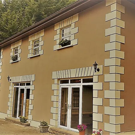 Guest house Glebe House 3*