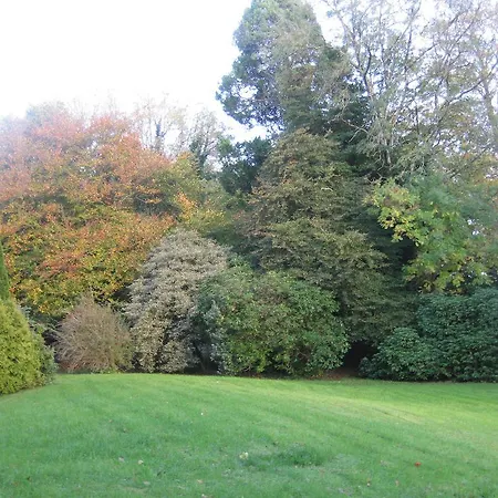 ゲストハウス Glebe House