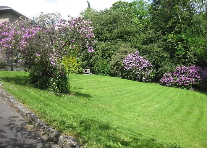 Pensjonat Glebe House 3*